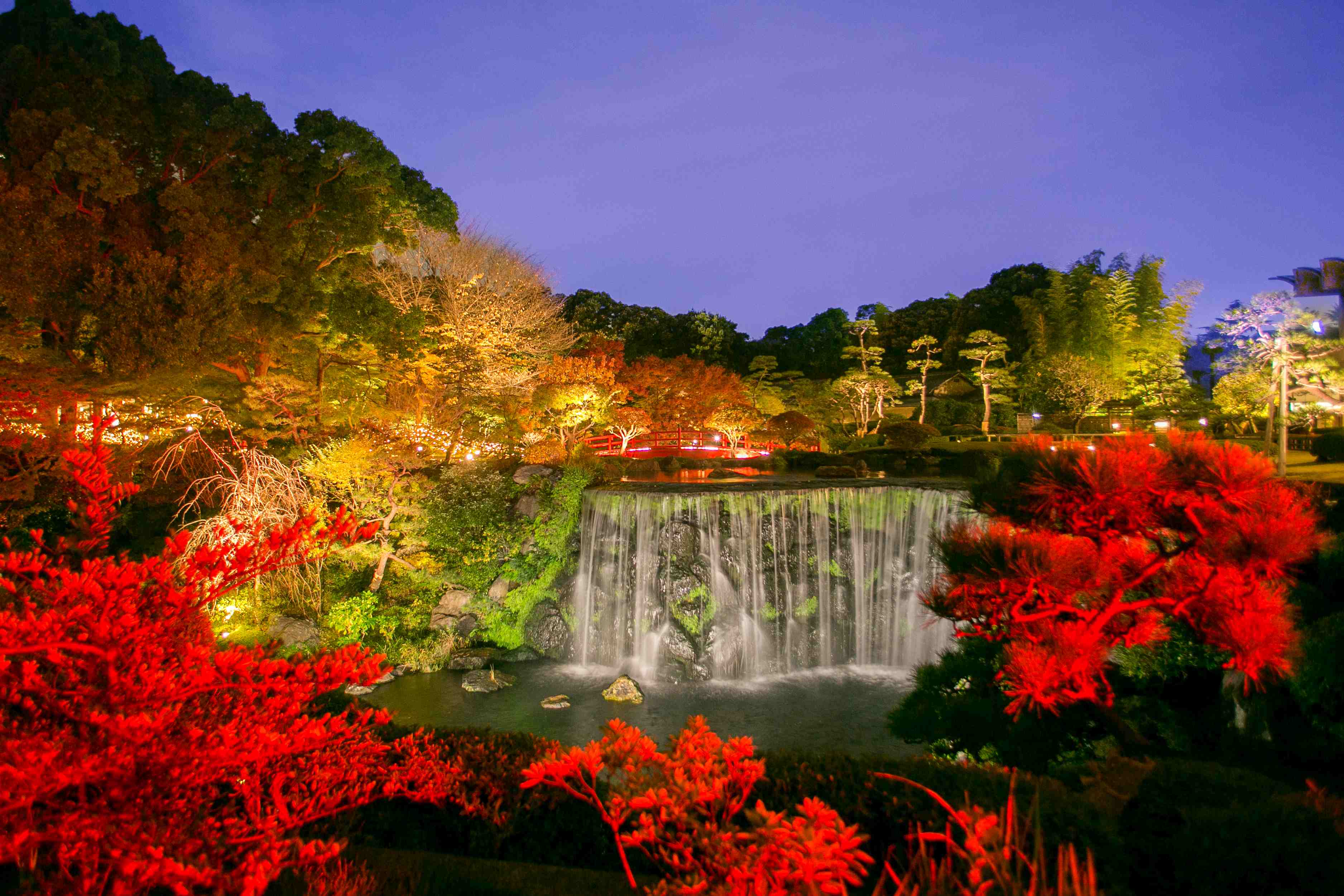 Japanese Garden Autumn